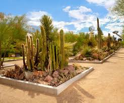 Springs Preserve Las Vegas La Attractions Vegas