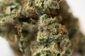Maybe you would like to learn more about one of these? Cbdblueten De Your Cbd Shop With Shipping To Germany
