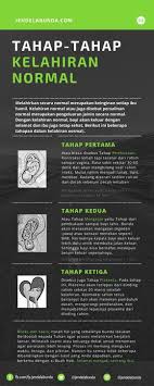 Tahap Tahap Kelahiran Normal Kelahiran Normal Kelahiran Kehamilan Sehat