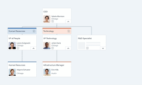 Org Chart Leveling Gif By Seamonster
