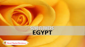 Maybe you would like to learn more about one of these? 10 Best Options To Send Flowers To Egypt 2021