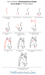 We did not find results for: How To Draw A Mustang Step By Step