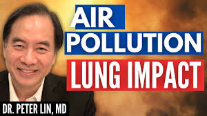 The Link Between Inflammation and Air Pollution Explained Clearly