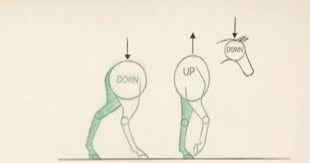 Horse Walk Animation Animation Animation Reference Animation Art