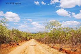 It spreads over six states and has long been viewed by southerners as one of the most backward and hostile areas of the country. Sertao Paisagem Do Sertao Nordestino Caridade Ce Sara Cafe Aguiar Flickr