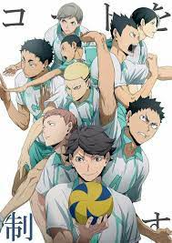 These are some pictures of them people warning.i do not own anything here. Haikyuu Aoba Johsai Characters Novocom Top
