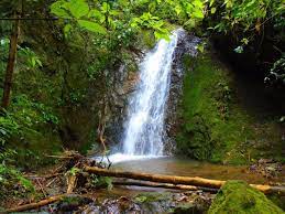 Discover the best top things to do in el paraiso department, honduras including piedra de apaguiz, montana santemilia, laguna san julian, cerro la cruz, laguna de san julian, santa emilia. Finca Santa Emilia Outdoor Waterfall Water