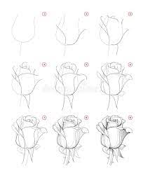 Easy to download, these can be used for various projects. How To Draw Step Wise Beautiful Rose Flower Bud Creation Step By Step Pencil Drawing Educational Page For Artists Stock Vector Illustration Of Lesson Drawing 162156232