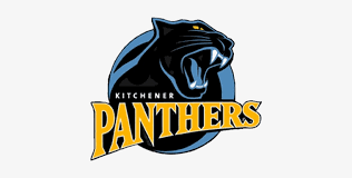 Use arrows to navigate between autocomplete results. Sport Logos With Animal Images Kitchener Panthers Logo Free Transparent Png Download Pngkey