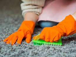 Some of the cleaning services we offer include: Carpet Cleaning Newcastle Nsw Hiretrades