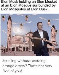 Elon Musk Holding An Elon Musket At An Elon Mosque Surrounded By Elon Mosquitos At Elon Dusk Udjankul Scrolling Without Pressing Orange Arrow Thats Not Very Elon Of You Arrow Meme