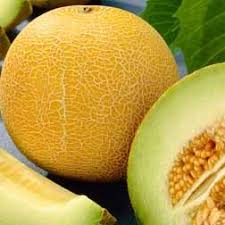 There is no psd format for melon png images, gambar melon, gambar buah. Melon Outdoor Wonder Frutas Melon