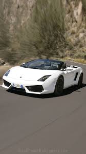 White Lamborghini Gallardo Lamborghini Gallardo White Lamborghini Lamborghini