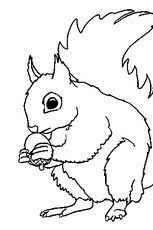 Coloriage De Ecureuil A Imprimer In 2020 Coloring Pages Bear Crafts Stick Art