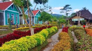 Harga tiket masuk yang harus dibayar pengunjung untuk memasuki area umbul ponggok ini cukup murah. Pemandian Air Panas Candi Umbul Magelang Harga Tiket Dan Lokasi