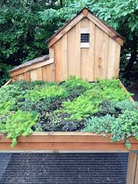 Grow these 15 herbs for chickens near the chicken coop. Chicken Coop With Green Roof 07 Your Projects Obn