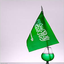 صور اليوم الوطني السعودي1440