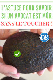 L Astuce Imparable Pour Savoir Si Un Avocat Est Mur Sans Le Toucher Avocat Trucs Et Astuces Cuisine Anti Gaspillage Alimentaire