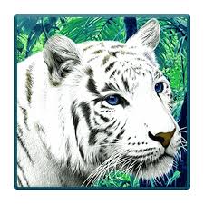 Download video animal live wallpapers apk latest version 4.5.2 for android, windows pc, mac. Wild Animals Live Wallpaper Apk Download Free App For Android Safe