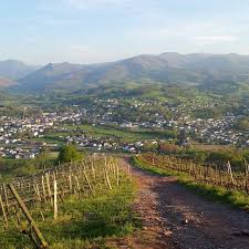 Descente Dans Les Vignes De L Arradoy Arradoy Vigne Irouleguy Randonnee Rando Mountains Instarando Paysage Pyrenees Paysbasque Basquecountry Euskal