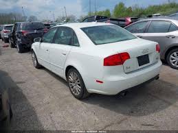 Image result for Arctic White 2006 A4