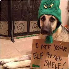 Why We Don T Have An Elf On The Shelf Funny Christmas Pictures Dog Shaming Christmas Humor