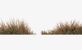 Brown Simple Grass Decoration Pattern In 2021 Grass Clipart Best Background Images Grass