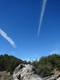 Hours may change under current circumstances Grizzly Peak Berkeley 2021 All You Need To Know Before You Go With Photos Tripadvisor