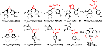 Image result for Ottelia lisowskii