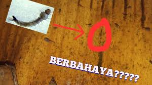 Beware im watching you silently and secretly. Search Youtube Channels Noxinfluencer