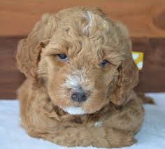 We did not find results for: Hbzxsmwjdqdnpm