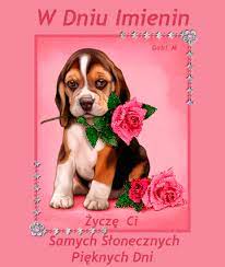 Dzień imienin twych się zbliża, więc życzenia kreślę ci, by się wszystko ci spełniło, o czym marzysz, o czym śnisz. W Dniu Imienin Smieszne Zdjecia Memy Gify Filmiki I Demoty