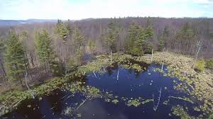 Hiking project is built by hikers like you. Hiking Hi Tor Wildlife Management Area Youtube