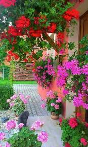 Sign In Beautiful Flowers Images Beautiful Flowers Garden Garden Design