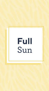 Cottage farms had offerings on zulily last week, but none this week. Cottage Farms Seeds Plants Gardening Supplies Qvc Com