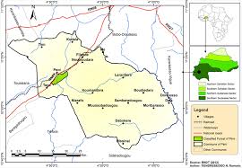 Image result for Macledium sessiliflorum