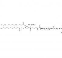α-Maleimidyl-ω-distearoyl-sn-glycero-3-phosphoethanolamino ...