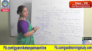 The Crop Lien System Analysis Csi Sigegov Org
