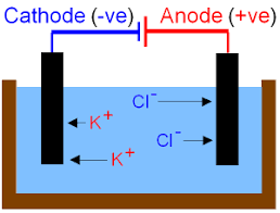 Many elements exist as diatomic molecules. Gcse Chemistry Electrolysis Of Potassium Chloride Ionic Equations Half Equations Gcse Science