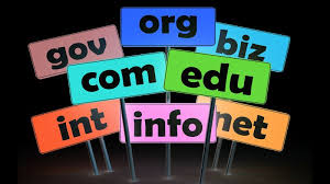 Consider These 10 Tips To Get The Right Domain For Your Business Business Infographic Social Media Infographic Internet Marketing