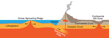 Continental Crust On Top Of Oceanic Crust With The Mantle Below New Crust Forms At Divergent Plate Boundaries And Volcanoes Plate Boundaries Ocean Science