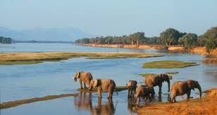 Mana Pools National Park Zimbabwe Taman Nasional Wisata Afrika Tours