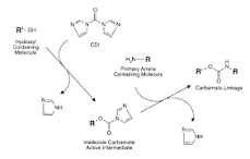 Is there any reaction to bond Amine (-NH2) groups to Hydroxyl ...