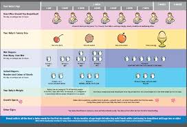 newborn stomach size and diaper output norms baby weight