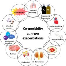 Image result for COPD Exacerbation Prevention
