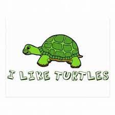 Animated Turtle With The Words I Like Turtles Saferbrowser Yahoo Image Search Results Chita
