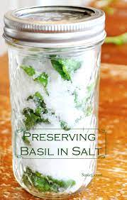 So here's how you go about preserving fresh basil… you will need 4 things: The Safe Way To Preserve Basil In Oil Without Botulism Susiej
