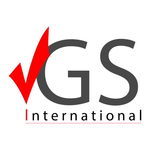 Global System International Logo