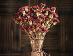 Dried Carnation Flower Arrangement Dried Decor Natural Decorations Beautiful Flower Arrangements Flower Arrangements Carnations