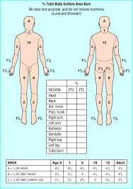 Lund And Browder Burns Assessment Chart A Means Of